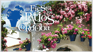 patios in Cordoba, Andalusie