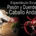 Andalusische paarden
